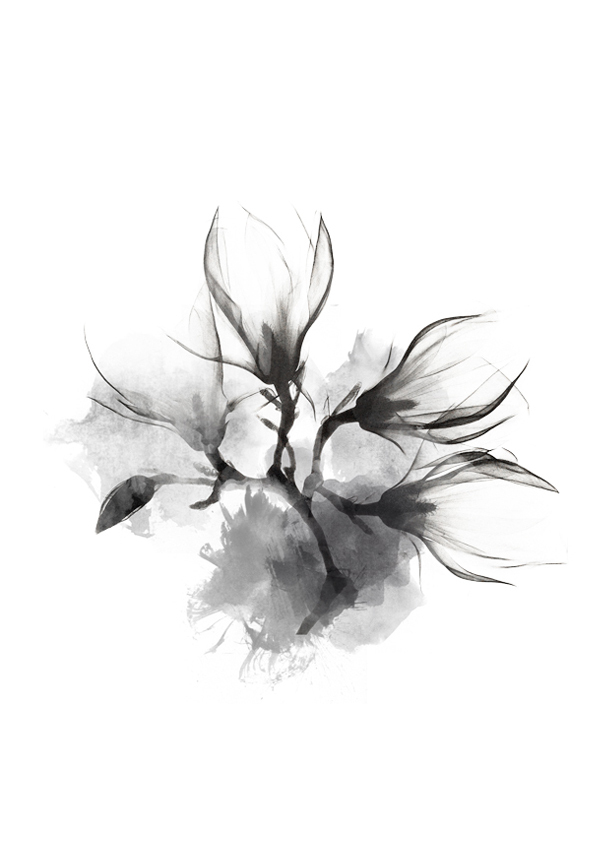 服装效果图-白木兰 植物 花型图案