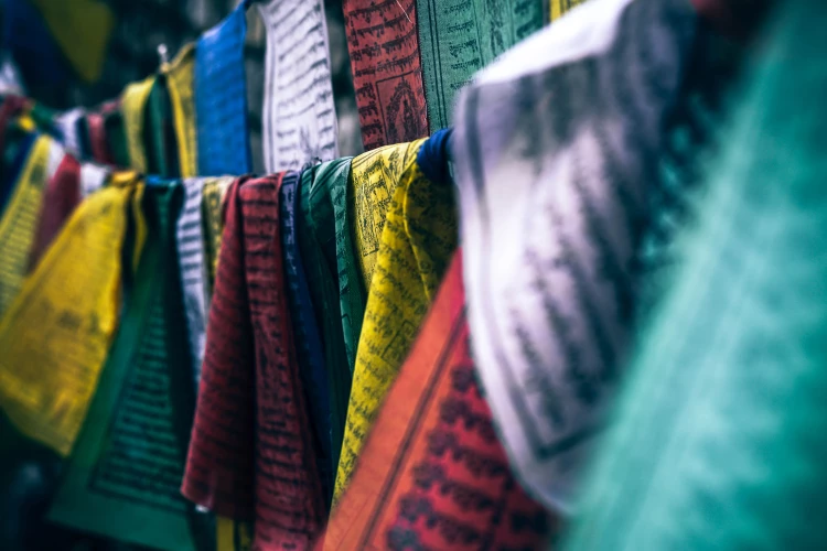 纺织服装，服装出口额超20亿，非洲正在成为下一个制造业中心