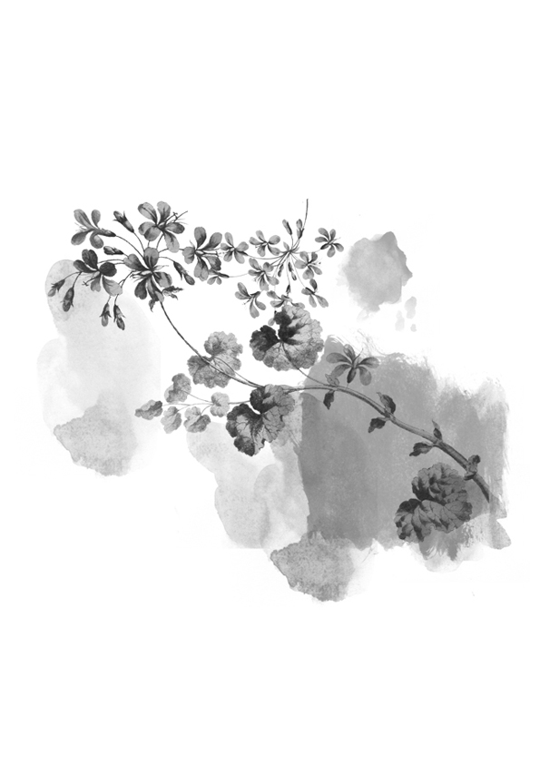 服装效果图-水墨花卉 植物 花型图案