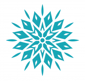 灿烂雪花纹样图案印花