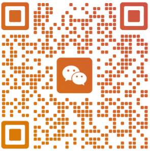 跨境电商平台STYLI招商咨询