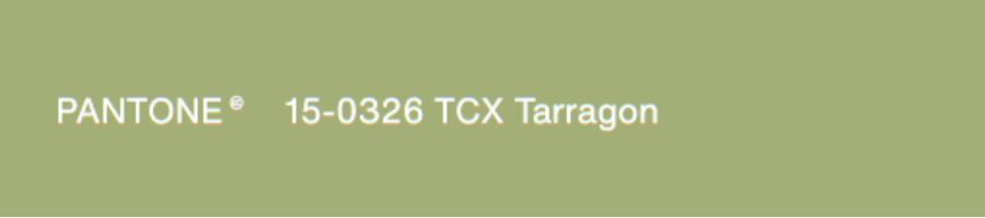 Tarragon 龙蒿草绿,一种微妙的草本植物绿色。