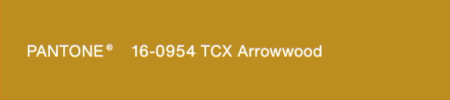 Arrowwood 木质金色调,深沉的木质金色,沉稳踏实、低调。